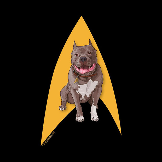 Star Trek: Picard No. 1 Delta Women's Relaxed Scoop Neck T-Shirt | Official CBS Entertainment Store