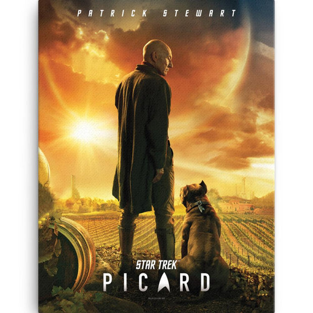 Star Trek: Picard Wrapped Canvas | Official CBS Entertainment Store